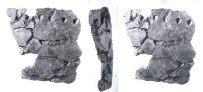 This is a pottery fragment from Xianrendong, west section 2A. For more information, please see figure S1.2 in the Supporting Online Material. This image relates to a paper that appeared in the June 29, 2012, issue of Science, published by AAAS. The paper, by Dr. X. Wu at Peking University in Beijing, China, and colleagues was titled, "Early Pottery at 20,000 Years Ago in Xianrendong Cave, China."